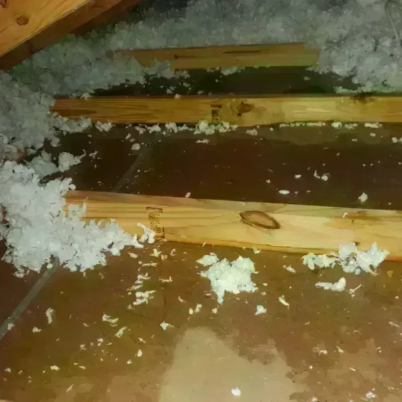 Attic Water Damage in Breathitt County, KY